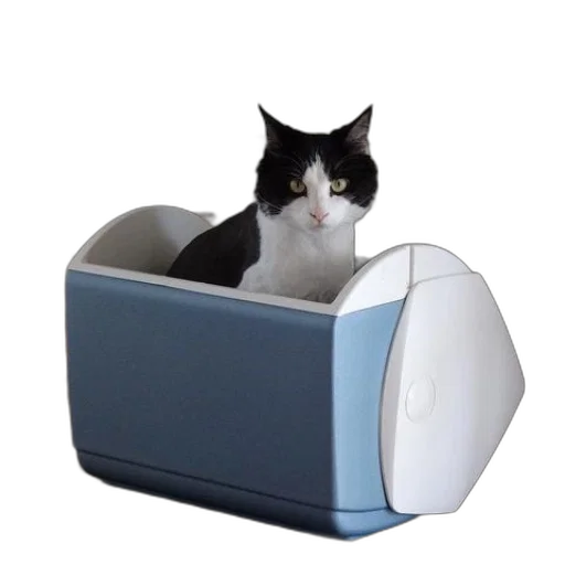 furniture, robot, black, white, cat, sits, blue, cooler transparent PNG cut-out