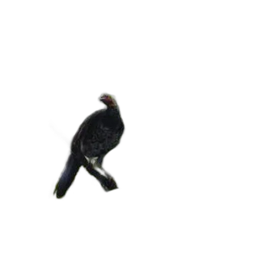 animal, staff, creature, dragon, 3d render, photorealistic, concept art, bird transparent PNG cut-out