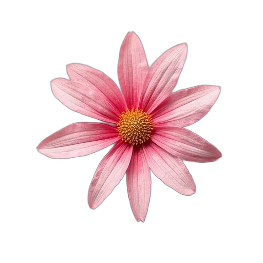 flower, jewelry, crown, staff, photorealistic, 3d render, watercolor, concept art transparent PNG cut-out