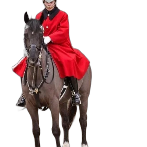 jacket, animal, hat, staff transparent PNG cut-out