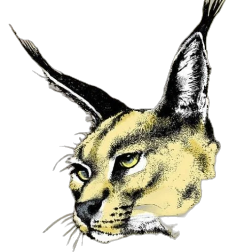 animal, staff, mask, hat, photorealistic, pencil sketch, concept art, watercolor transparent PNG cut-out
