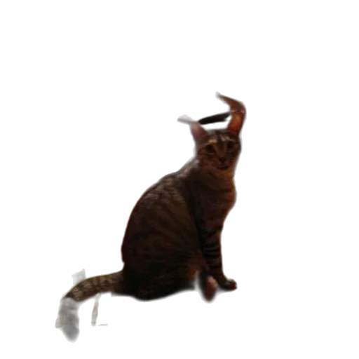 animal, creature, staff, dragon, 3d render, photorealistic, concept art, pixel art transparent PNG cut-out