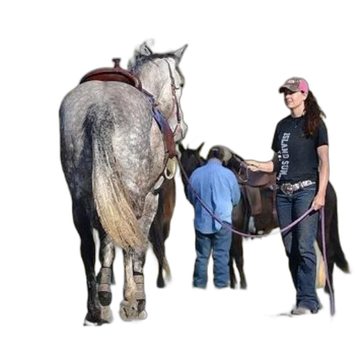 staff, animal, woman, black, shirt, jeans, stands, next transparent PNG cut-out
