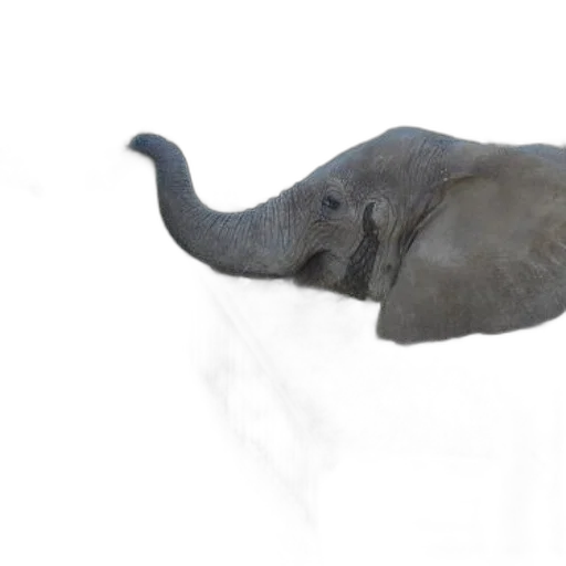 animal, creature, hat, staff, photorealistic, 3d render, concept art, two transparent PNG cut-out