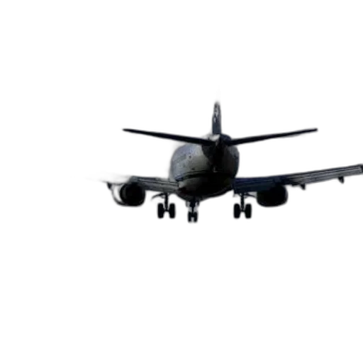 animal, weapon, 3d render, photorealistic, commercial, airplane, seen, mid-flight transparent PNG cut-out