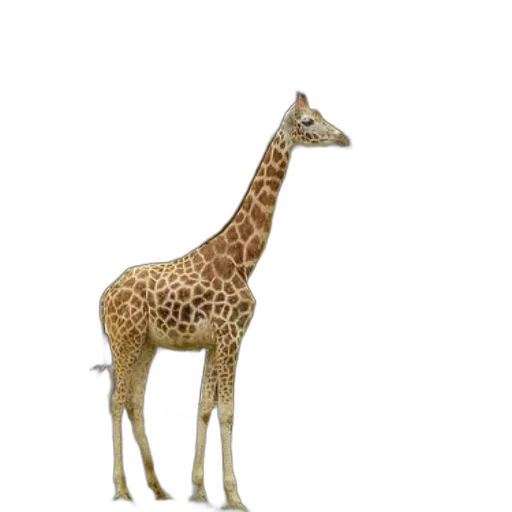 animal, creature, staff, weapon, 3d render, concept art, photorealistic, pixel art transparent PNG cut-out
