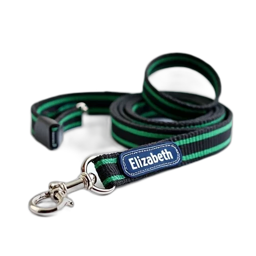 jewelry, staff, black, green, striped, dog, leash, silver transparent PNG cut-out