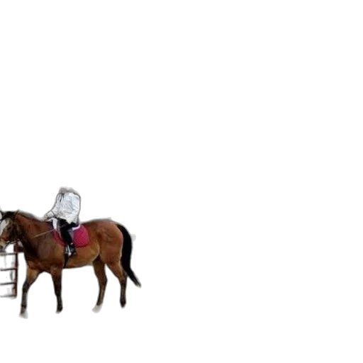 furniture, animal, hat, concept art, forest, outer space, snow, fire transparent PNG cut-out