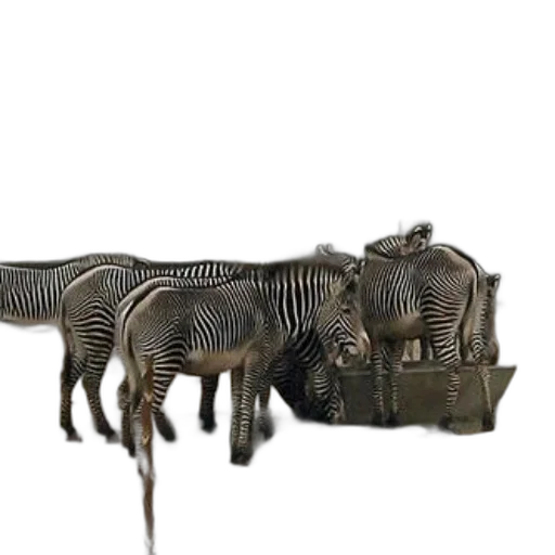 animal, creature, furniture, weapon, 3d render, concept art, photorealistic, fantasy art transparent PNG cut-out