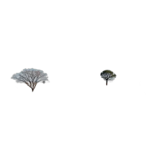 tree, hat, umbrella, crown, photorealistic, 3d render, pixel art, concept art transparent PNG cut-out