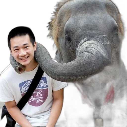 animal, creature, staff, face transparent PNG cut-out