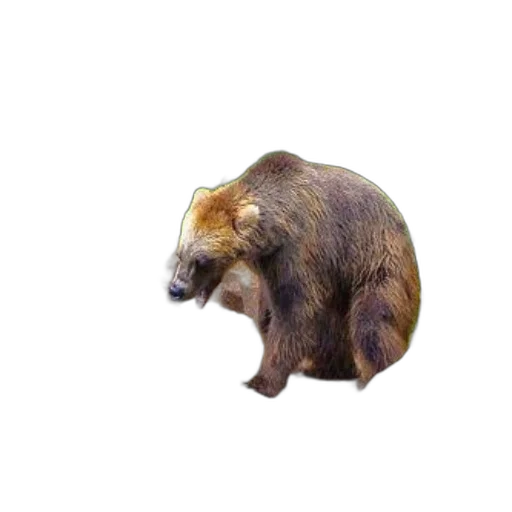 animal, creature, staff, face, 3d render, photorealistic, concept art, watercolor transparent PNG cut-out