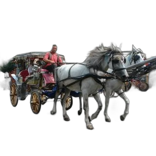 car, animal, staff, robot, concept art, photorealistic, fantasy art, 3d render transparent PNG cut-out