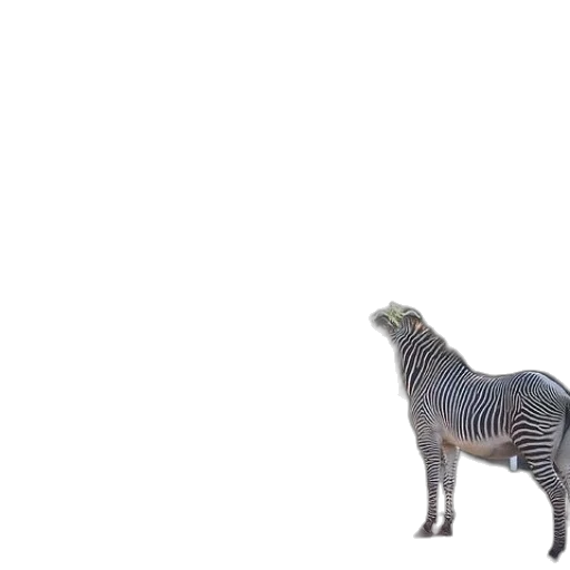 animal, creature, dragon, robot, 3d render, concept art, photorealistic, vaporwave transparent PNG cut-out