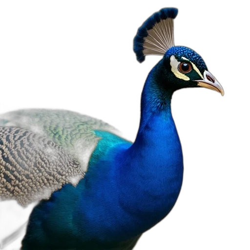 animal, creature, jewelry, crown, photorealistic, 3d render, concept art, vaporwave transparent PNG cut-out