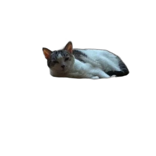 animal, creature, staff, face, photorealistic, 3d render, pixel art, vaporwave transparent PNG cut-out
