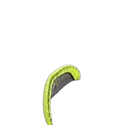 staff, weapon, shoes, food, concept art, 3d render, photorealistic, pixel art transparent PNG cut-out
