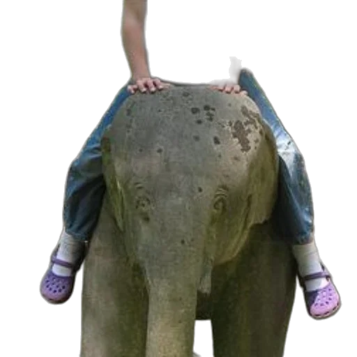 animal, creature, jacket, robot, 3d render, photorealistic, concept art, person transparent PNG cut-out