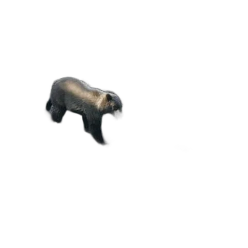 animal, creature, weapon, staff, 3d render, concept art, pixel art, photorealistic transparent PNG cut-out