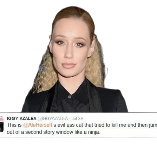 jacket, hair, jewelry, face, fire, iggy, azalea, tweets transparent PNG cut-out