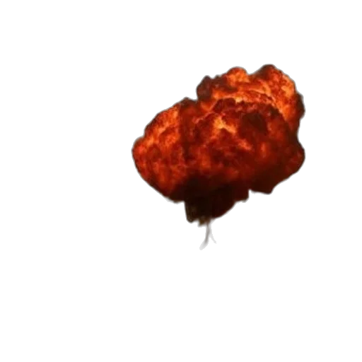 umbrella, jacket, crown, flower, concept art, pixel art, 3d render, photorealistic transparent PNG cut-out