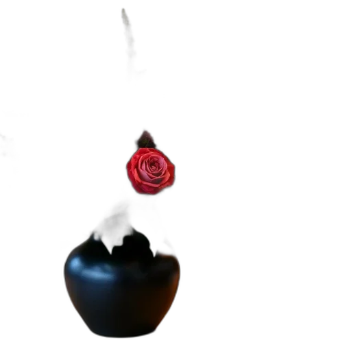 flower, crown, jewelry, staff, 3d render, concept art, photorealistic, fire transparent PNG cut-out