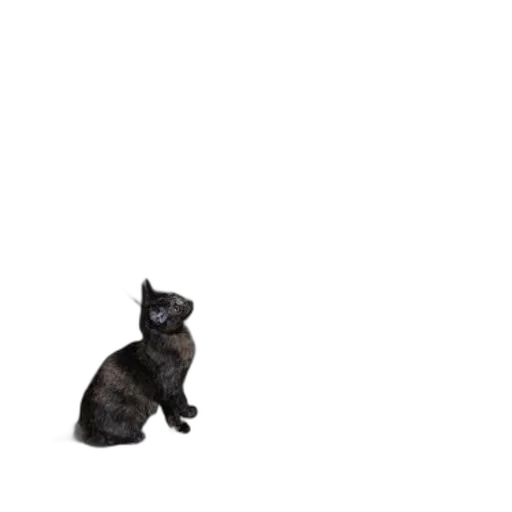 animal, staff, creature, robot, pixel art, 3d render, photorealistic, concept art transparent PNG cut-out