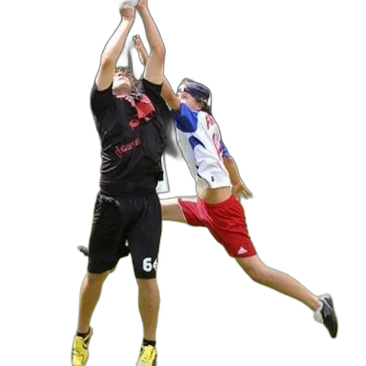 two, people, playing, frisbee, park, one, wearing, black transparent PNG cut-out