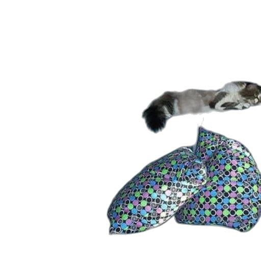 umbrella, hat, 3d render, rain, underwater, cat, jumping, off transparent PNG cut-out