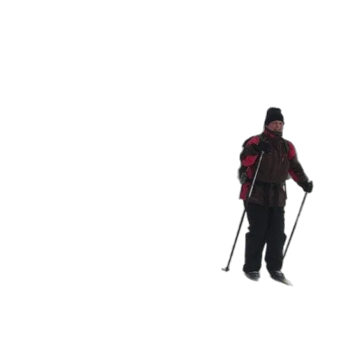 staff, animal, robot, jacket, 3d render, concept art, pixel art, photorealistic transparent PNG cut-out