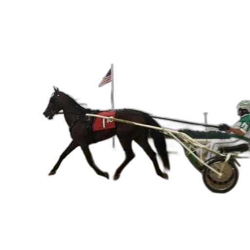 animal, car, photorealistic, concept art, horse, buggy, race, american transparent PNG cut-out