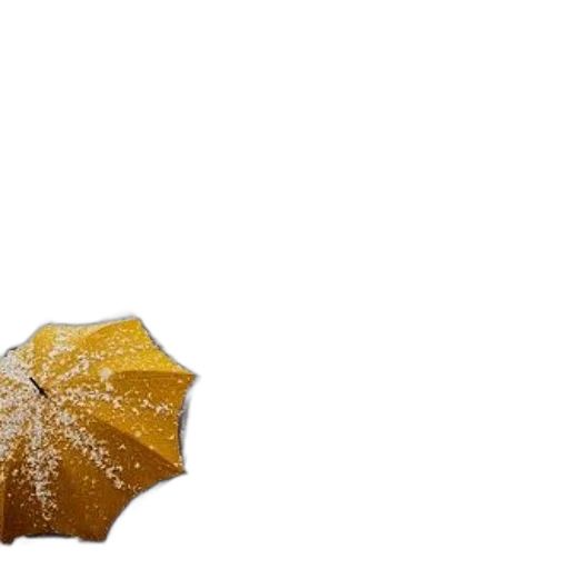 umbrella, crown, flower, hat, photorealistic, 3d render, concept art, rain transparent PNG cut-out