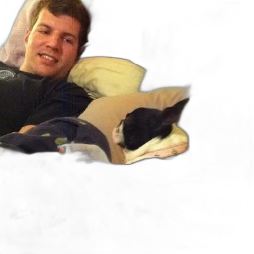 animal, creature, furniture, face, photorealistic, man, his, boston transparent PNG cut-out