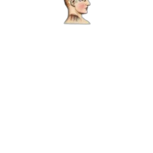 hat, hair, face, staff, cartoon, pixel art, photorealistic, concept art transparent PNG cut-out