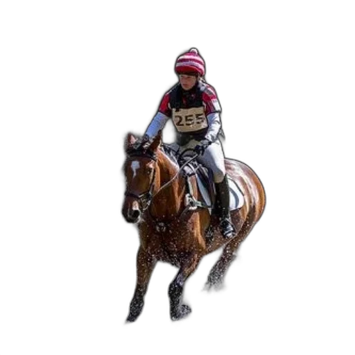 animal, photorealistic, pixel art, concept art, oil painting, rider, horseback, navigates transparent PNG cut-out