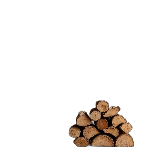 tree, furniture, food, jacket, 3d render, photorealistic, forest, fire transparent PNG cut-out