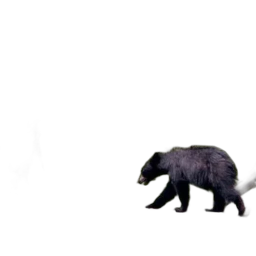 animal, creature, robot, weapon, concept art, 3d render, photorealistic, pixel art transparent PNG cut-out
