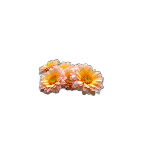 jewelry, flower, crown, food, 3d render, photorealistic, pixel art, garden transparent PNG cut-out