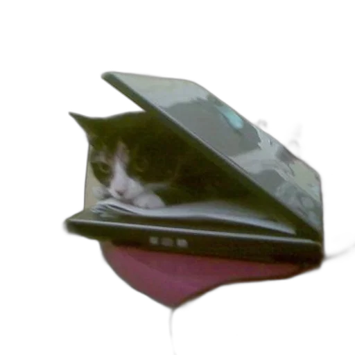 hat, umbrella, robot, animal, vaporwave, 3d render, photorealistic, cyberpunk transparent PNG cut-out