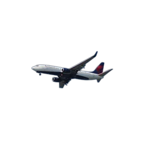 staff, animal, delta, airlines, airplane, flying, through, clear transparent PNG cut-out