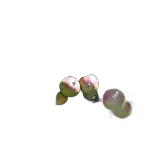 jewelry, flower, food, shoes, 3d render, photorealistic, vaporwave, pastel transparent PNG cut-out