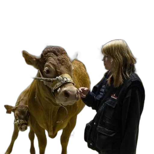 animal, jacket, photorealistic, concept art transparent PNG cut-out