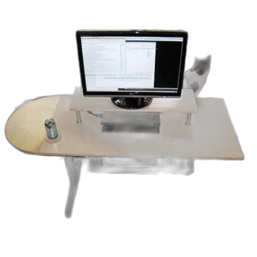 furniture, 3d render, cat, sits, desk, computer, monitor, displaying transparent PNG cut-out