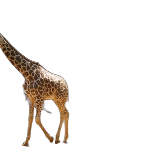animal, creature, weapon, staff, 3d render, concept art, photorealistic, watercolor transparent PNG cut-out