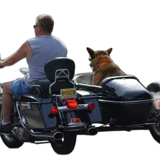 car, animal, man, rides, motorcycle, sidecar, which, contains transparent PNG cut-out