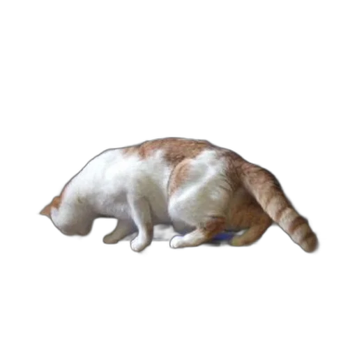 animal, creature, staff, food, photorealistic, pixel art, 3d render, concept art transparent PNG cut-out