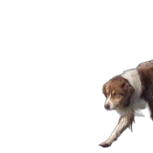 animal, creature, staff, hair, photorealistic, concept art, 3d render, pixel art transparent PNG cut-out