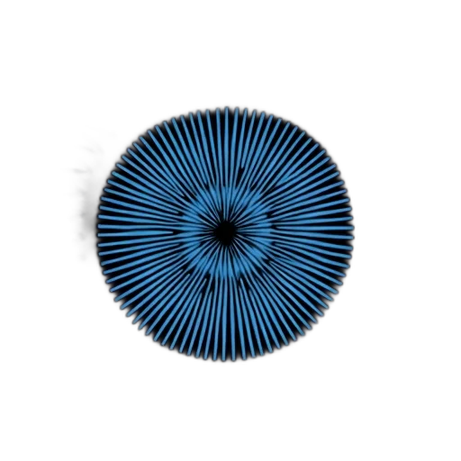 hair, flower, crown, hat, 3d render, photorealistic, blue, monochrome transparent PNG cut-out