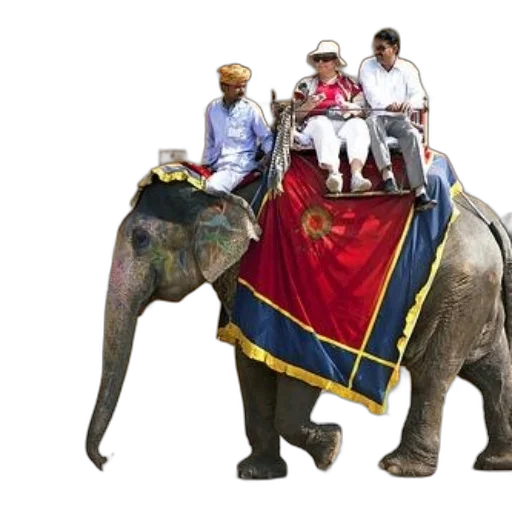 animal, concept art, photorealistic, three, people, ride, elephant, adorned transparent PNG cut-out