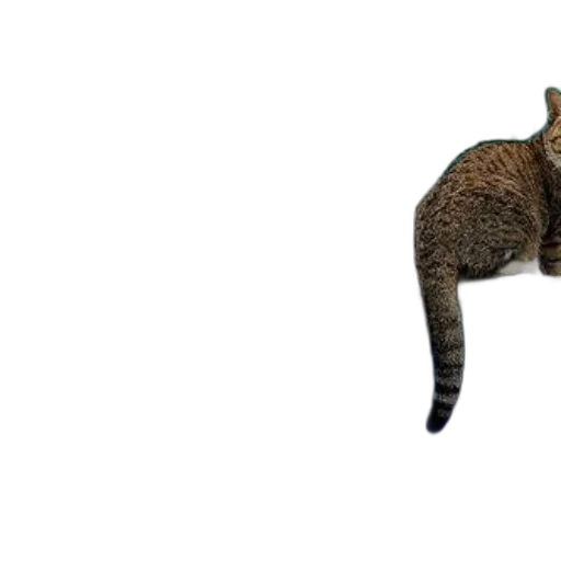 animal, creature, staff, weapon, 3d render, pixel art, photorealistic, concept art transparent PNG cut-out
